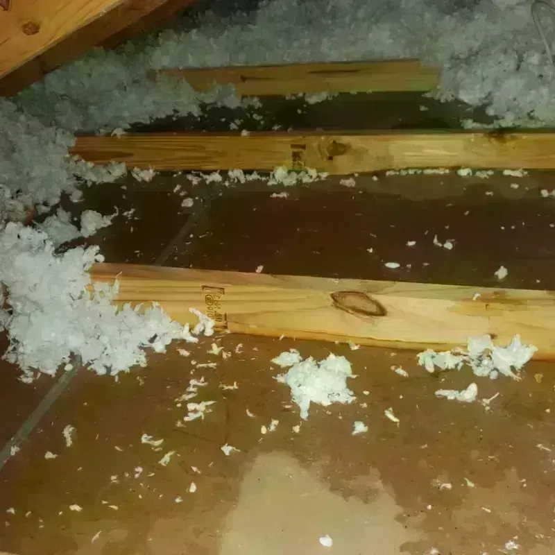 Attic Water Damage in Sherman, IL