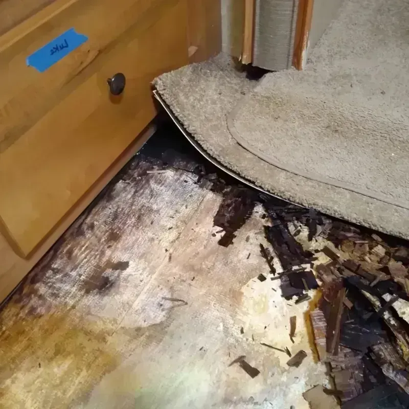 Wood Floor Water Damage in Sherman, IL